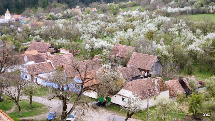 רומניה פסח 2019